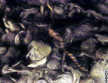 story.hair.jpg
