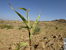 story.eritrea.jpg